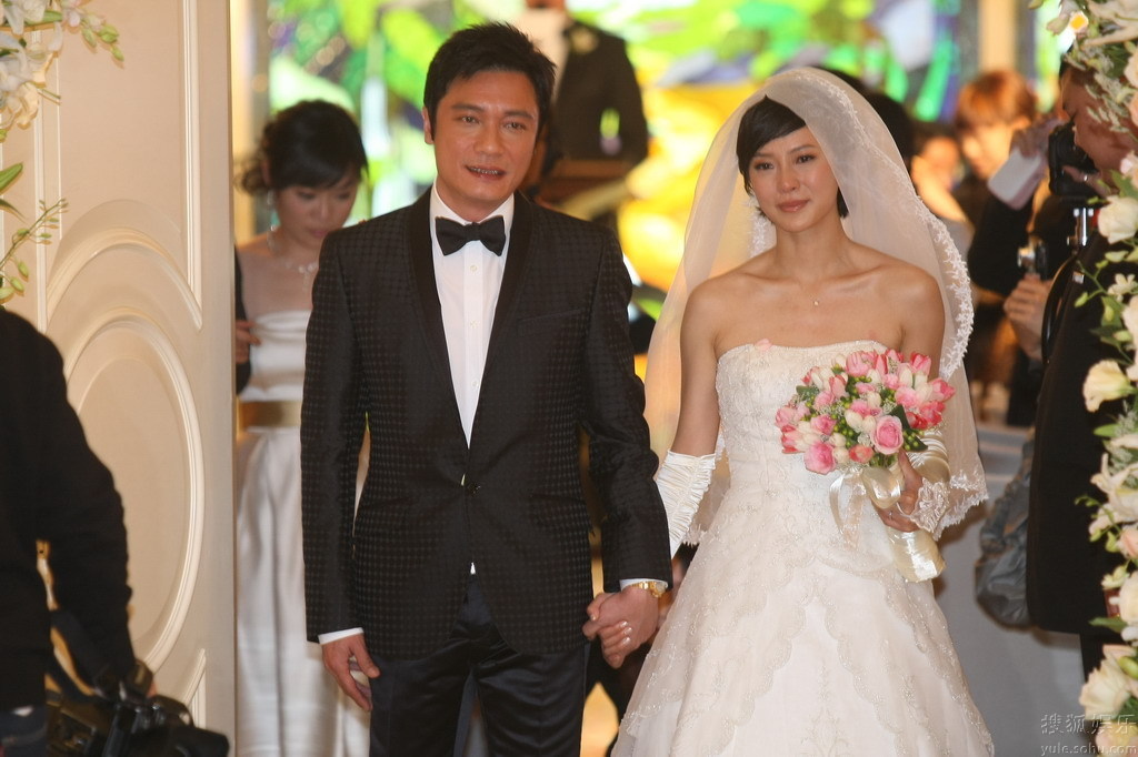 罗嘉良老婆苏岩婚纱照