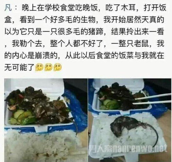 《食堂饭菜惊现老鼠》的网帖截图