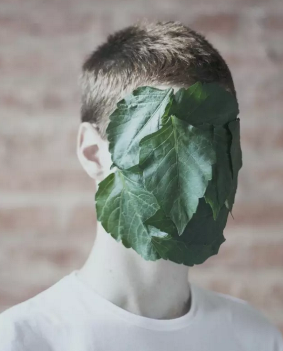 Ϲ