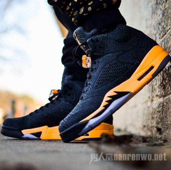 Nike Air Jordan 5