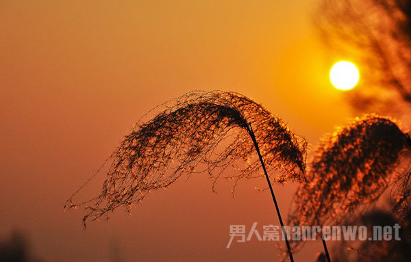 夕阳西下
