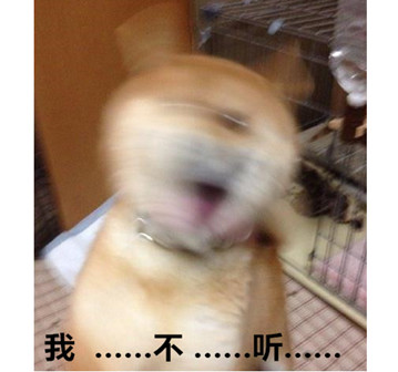 ͸ؼҰ