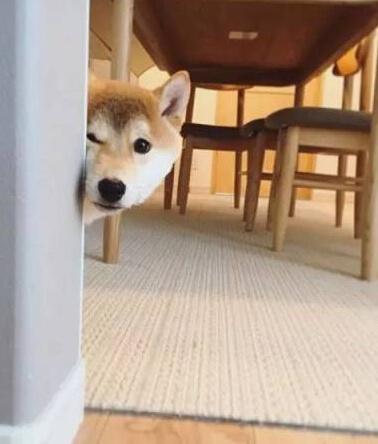 Ȯ