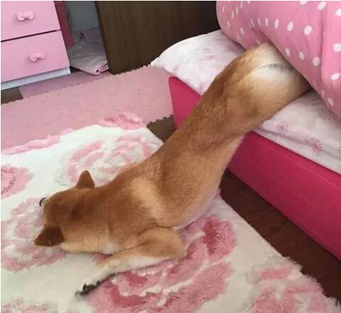 Ȯɰ