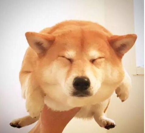 ˵