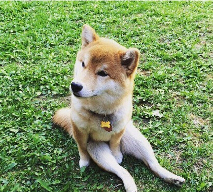 Ȯ