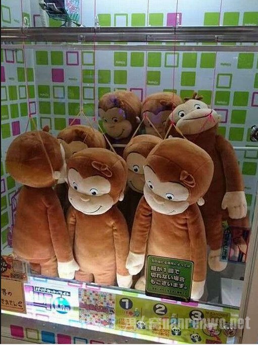 当猴子娃娃被集体送上刑场时