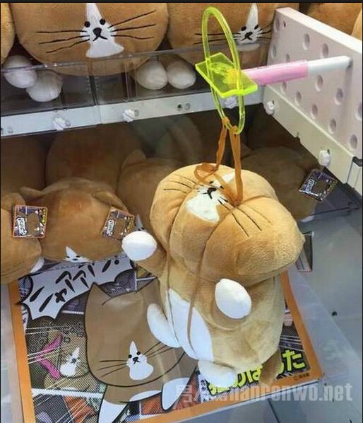 娃娃OS：“我的脸