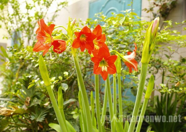 教师节送什么
