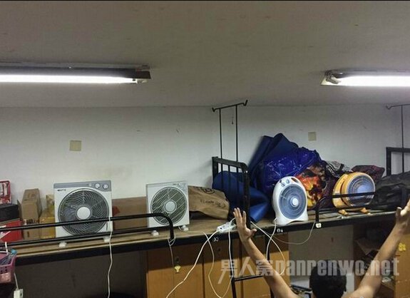 多年宿舍狗表示，温度太高，再多电扇也没用。