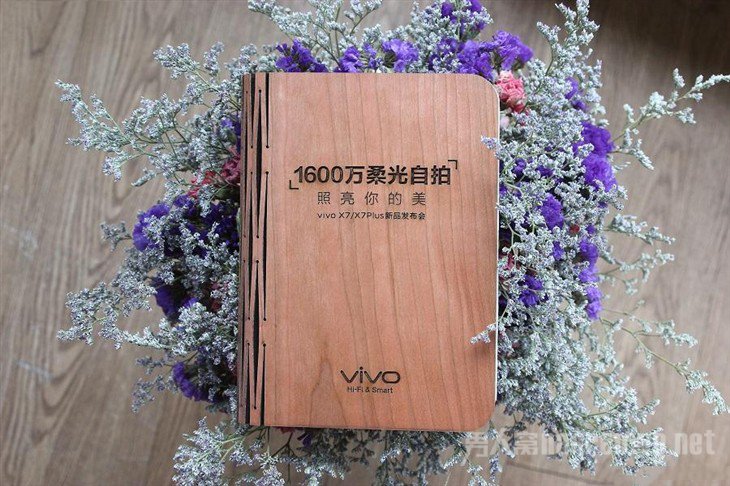 vivoƷ뺯