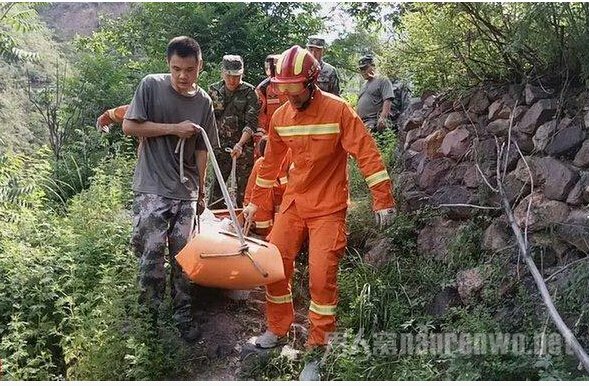 ��ɽ����ʬ��