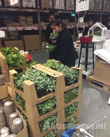 麦迪娜姜潮一同逛家具店