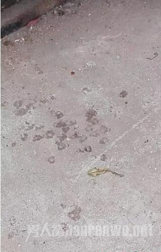 ĶϵĽ
