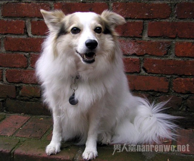 ǳɫ����ѡ����ɫ����ɫ����