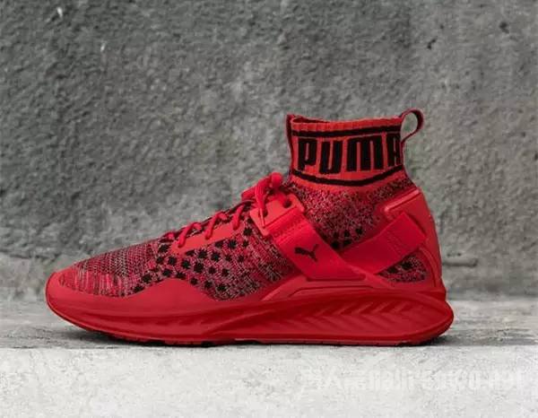Puma Ignite evoKNIT