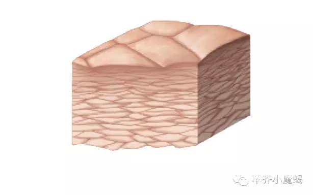 ʲ