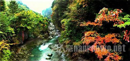 神农架秋景