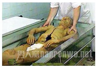 人鬼情未了