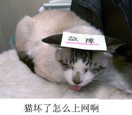 ѻϲ
