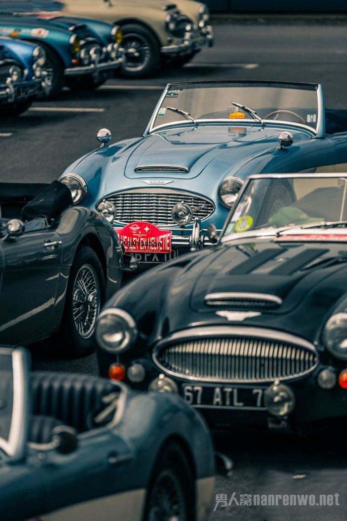 ŶܳAustin Healey