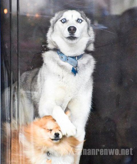 看什么看,镜头是我的！