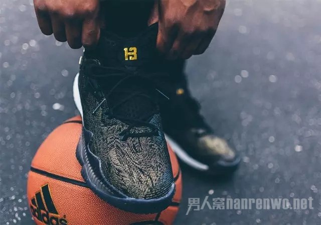  adidas Crazylight Boost 2016 PE