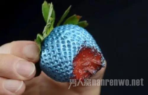 食物终结者