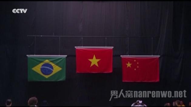 此前曝光的错误中国国旗