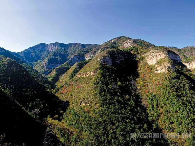 黄花山