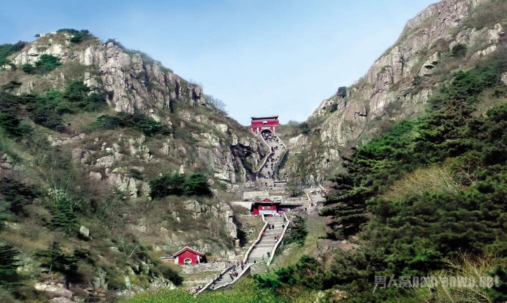 泰山