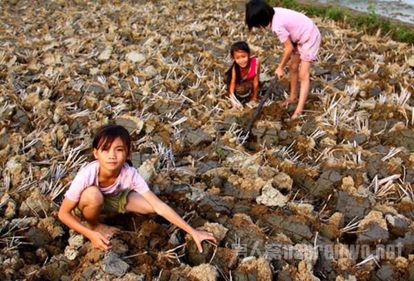 ������ͼ