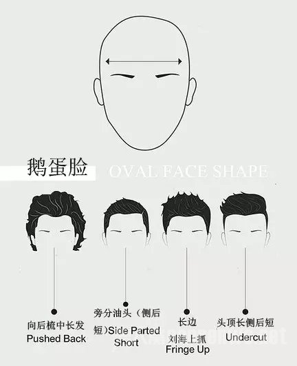 鹅蛋脸