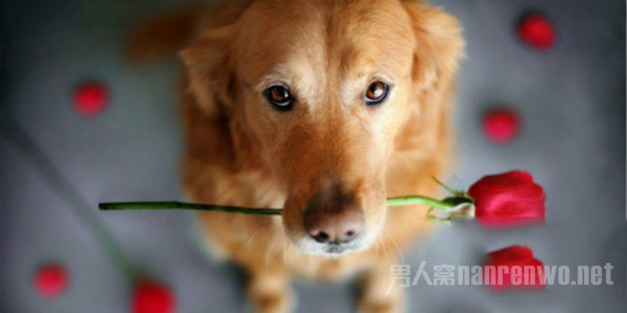 浪漫的瞬间