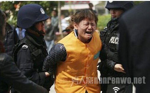 ��̫��֯�Ż�ר͵�¹�����