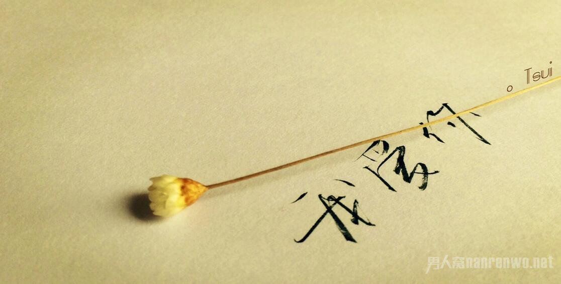 理科情书