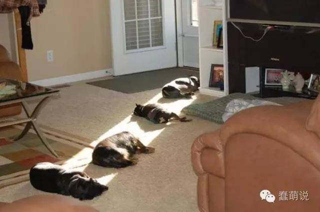 ɺ