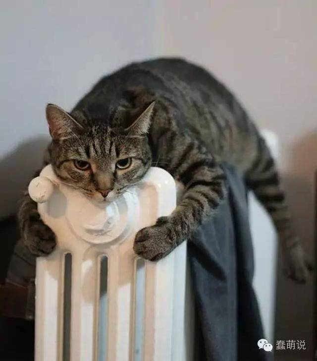 ůů
