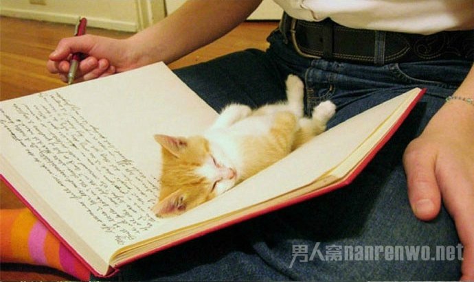 ����Ҫ˯���ˣ���׼����ҵ