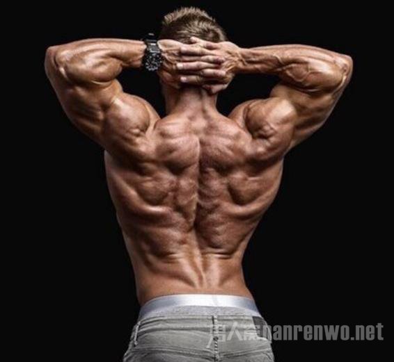 男人背部肌肉