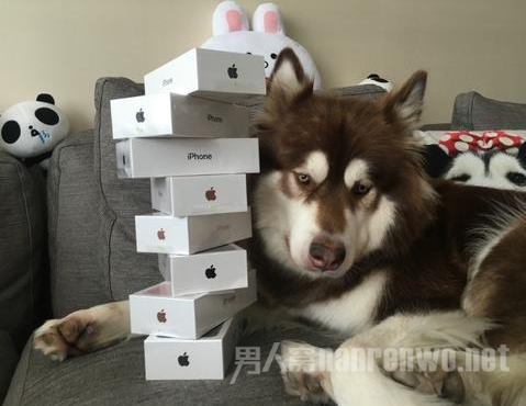 ŮҪiPhone7