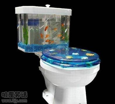 这马桶费鱼呀