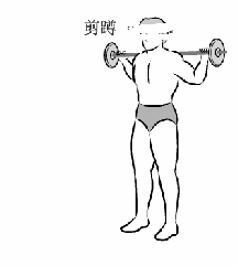剪蹲