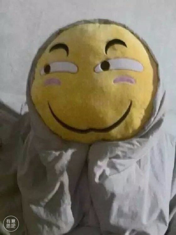 这抱枕有毒