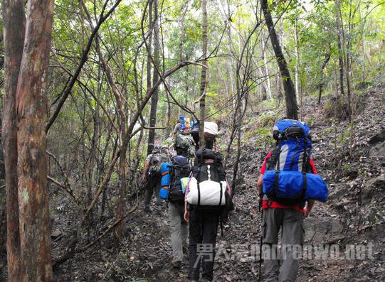 ������ͼ