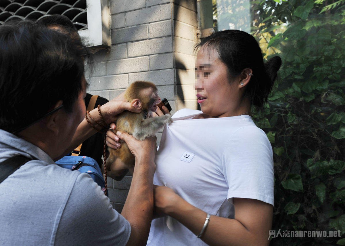 小猴子抓着女游客衣服不放