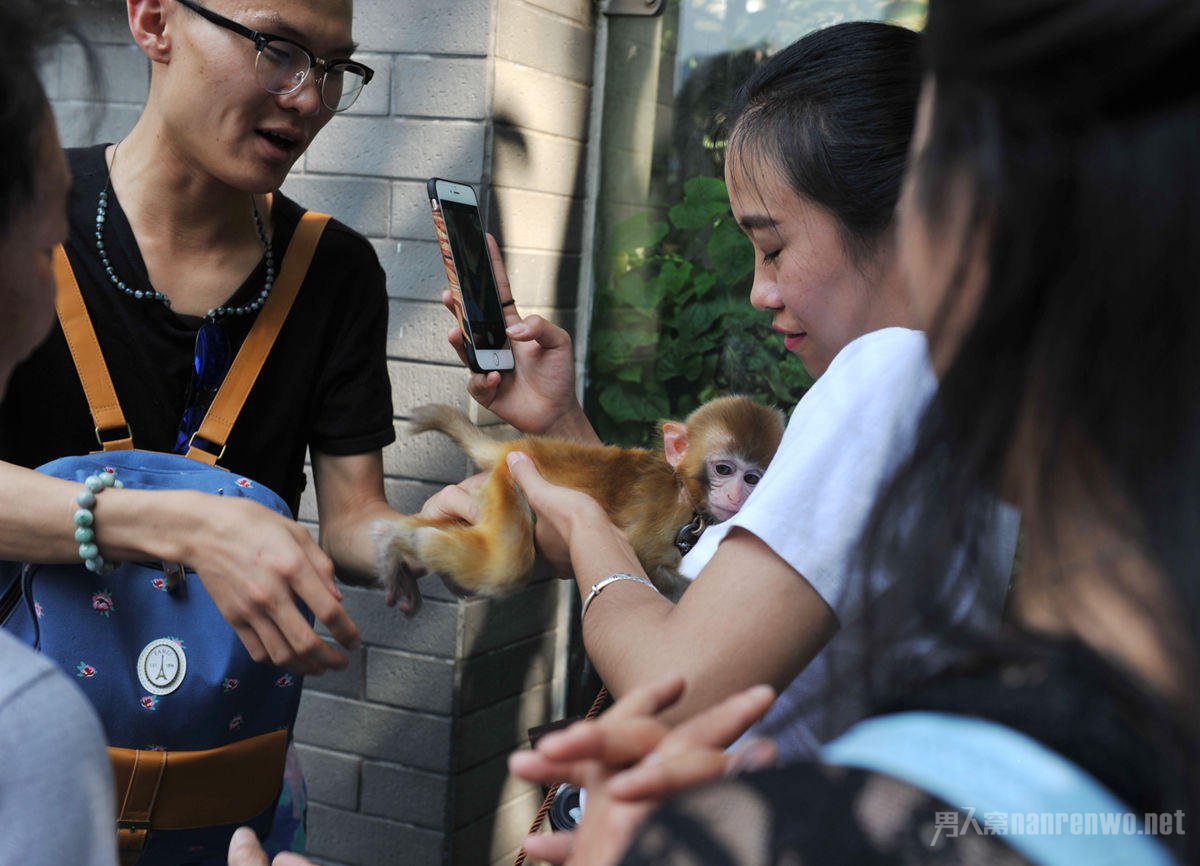 游客抱小猴子合影