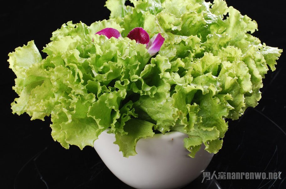 生菜