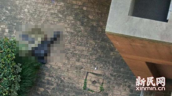 女子从复旦大学文科楼11层坠亡