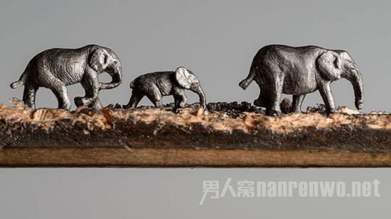 大象